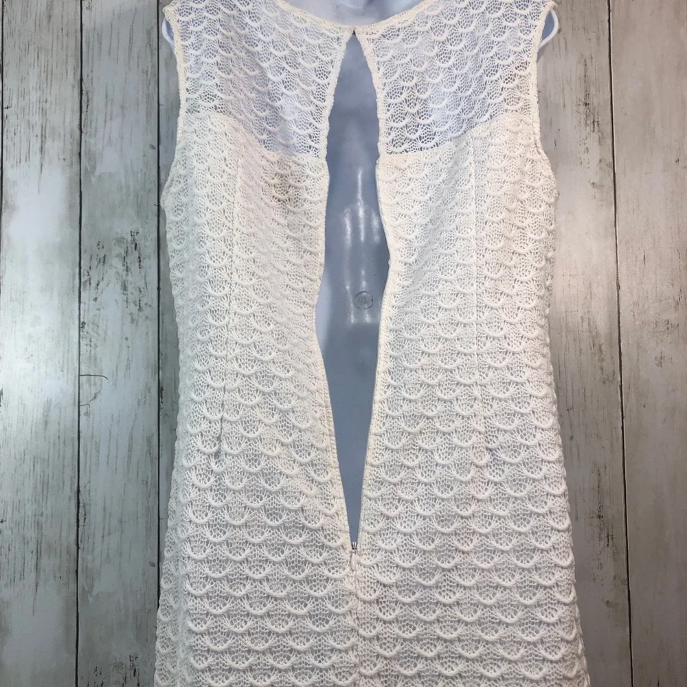Adrianna Papell Crocheted Lace White Sleeveless Sheath Dress - Picture 4 of 12